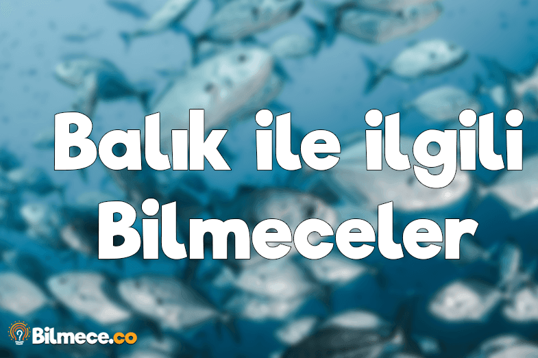 balik ile ilgili bilmeceler bilmece co